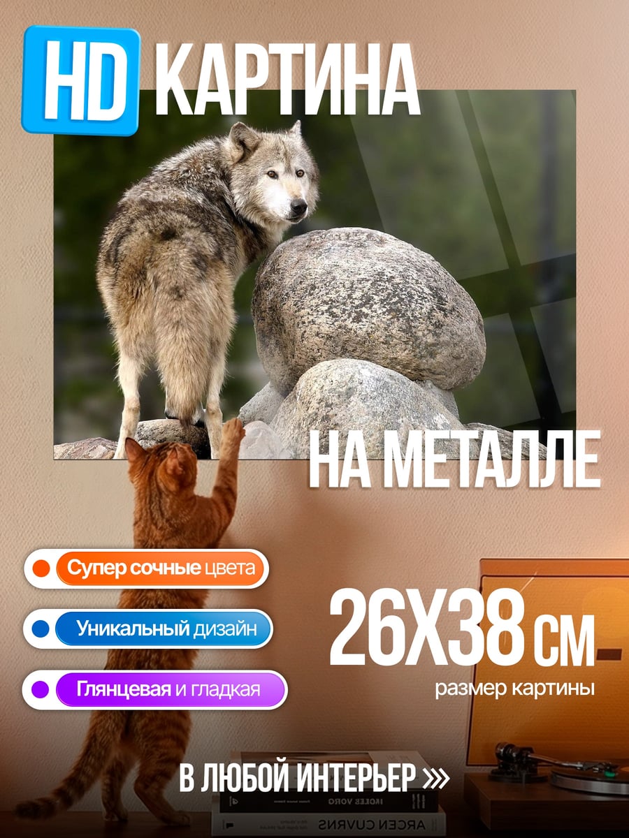 Картина на металле Волк на камнях