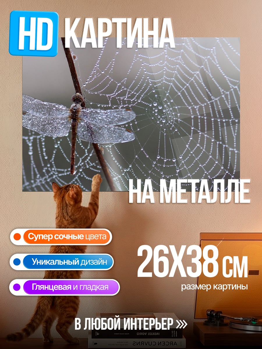 Картина на металле Стрекоза на паутине