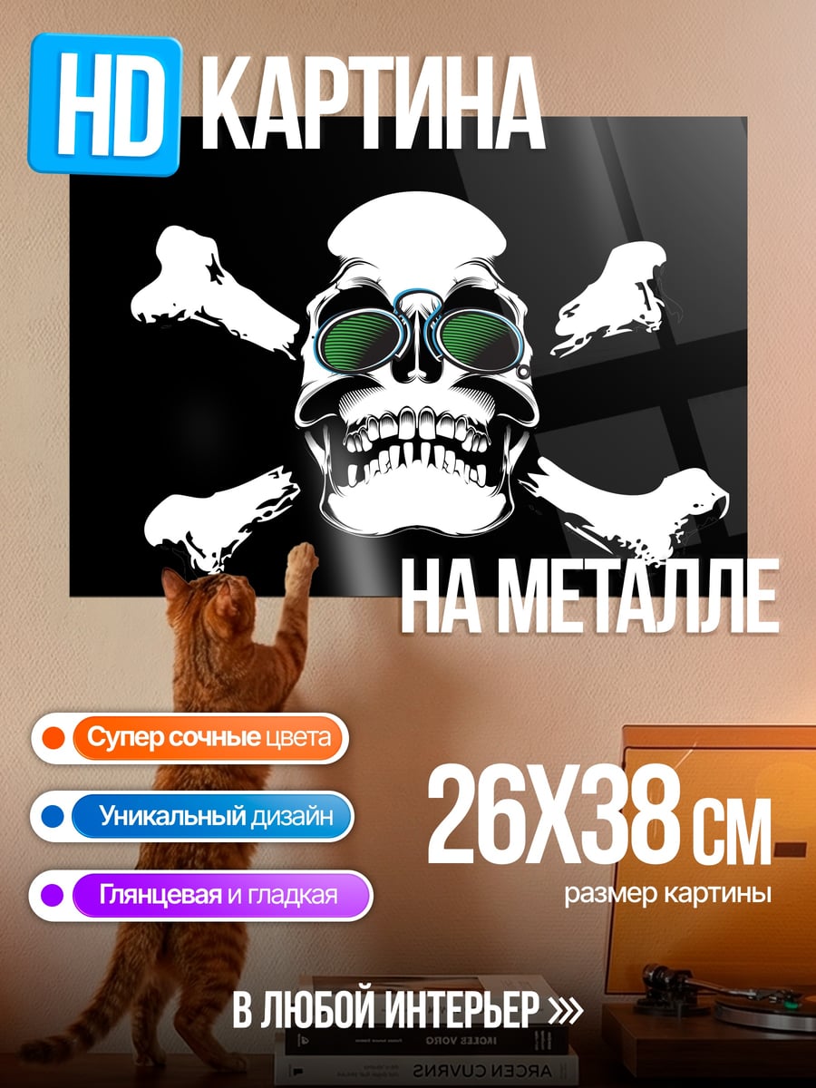 Картина на металле Череп в очках