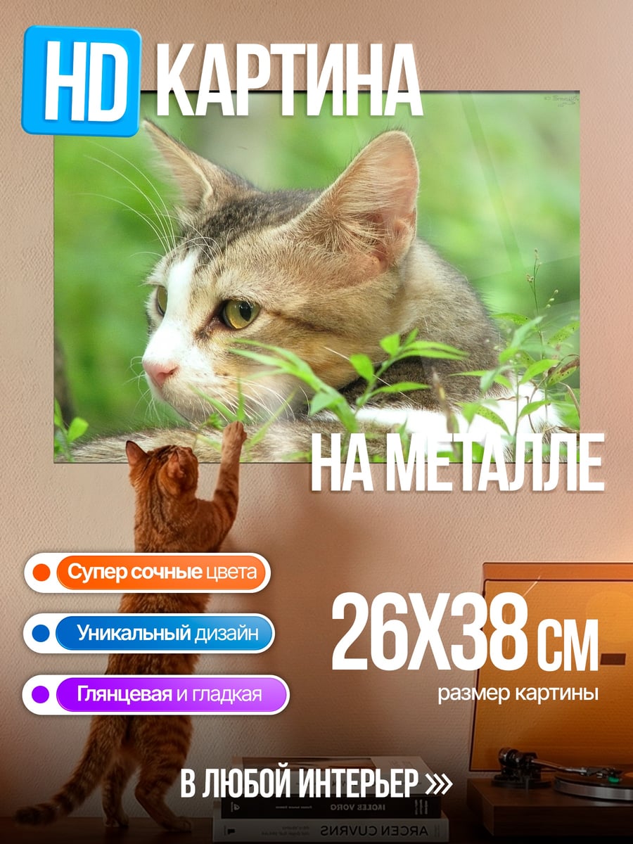 Картина на металле Кот в траве