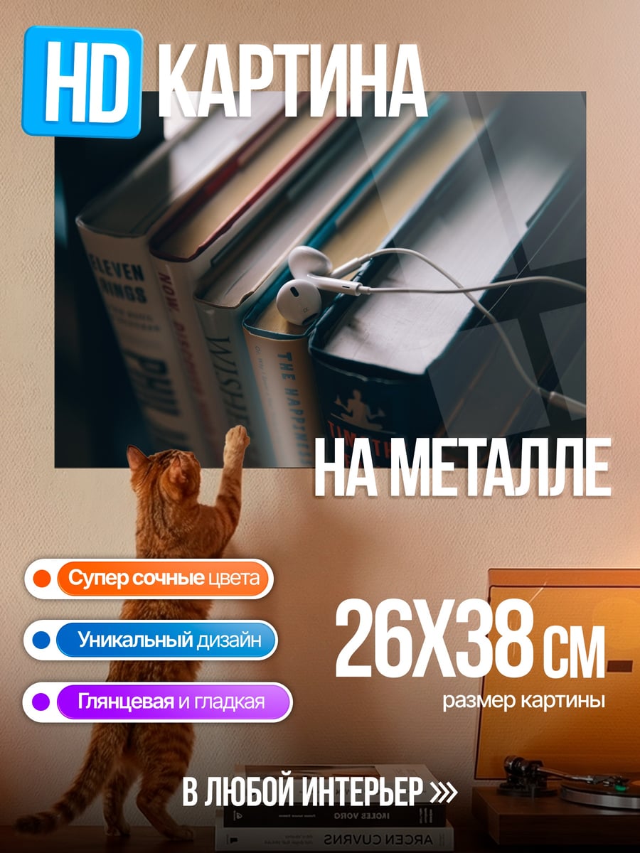 Картина на металле Книги и наушники