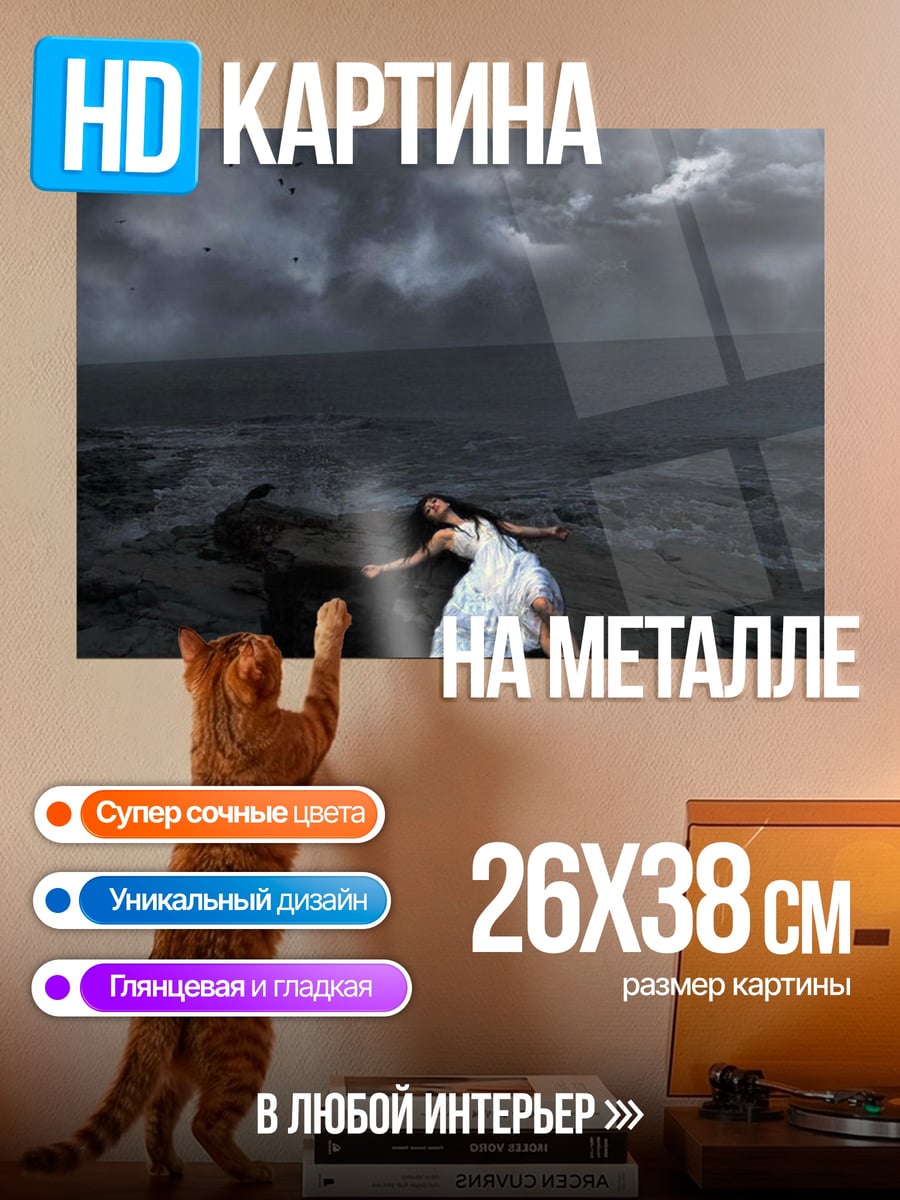 Картина на металле Девушка на камнях