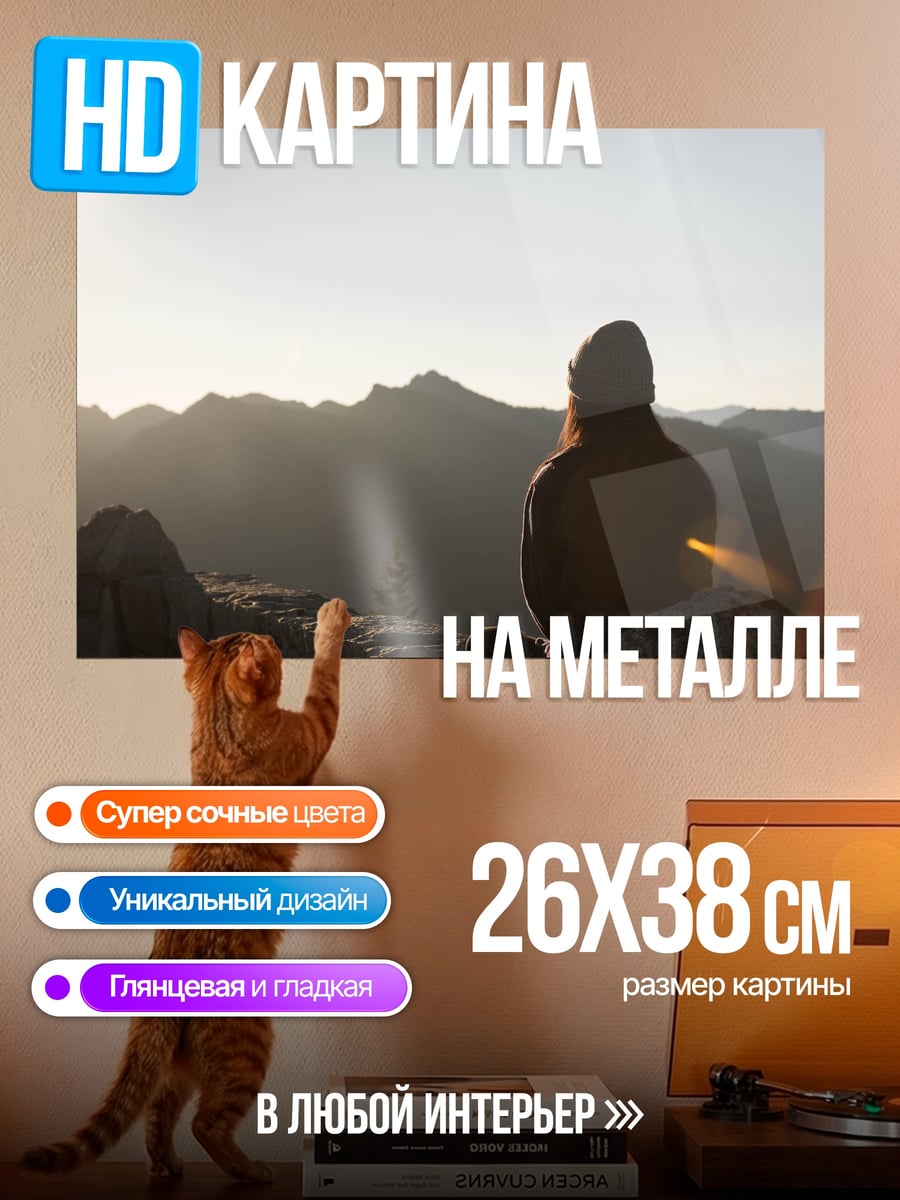 Картина на металле Медитация на вершине