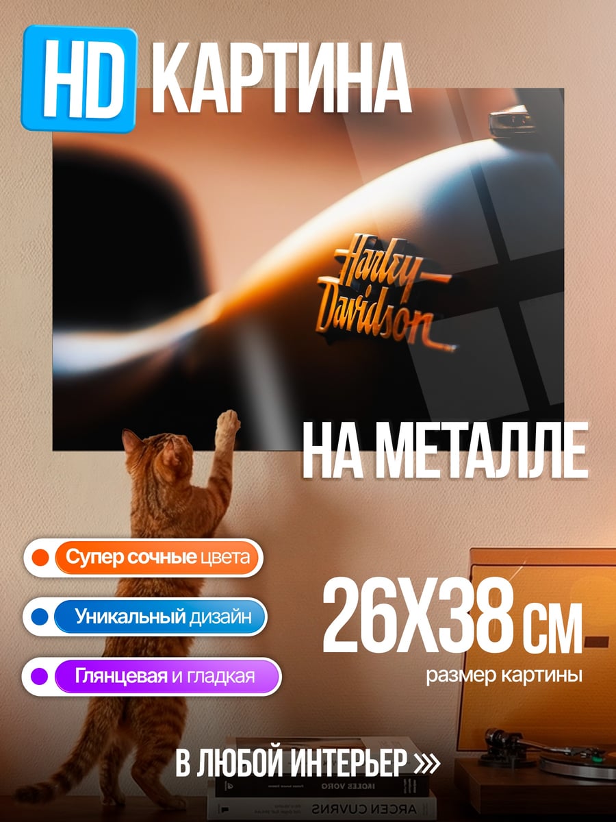 Картина на металле Логотип Harley Davidson