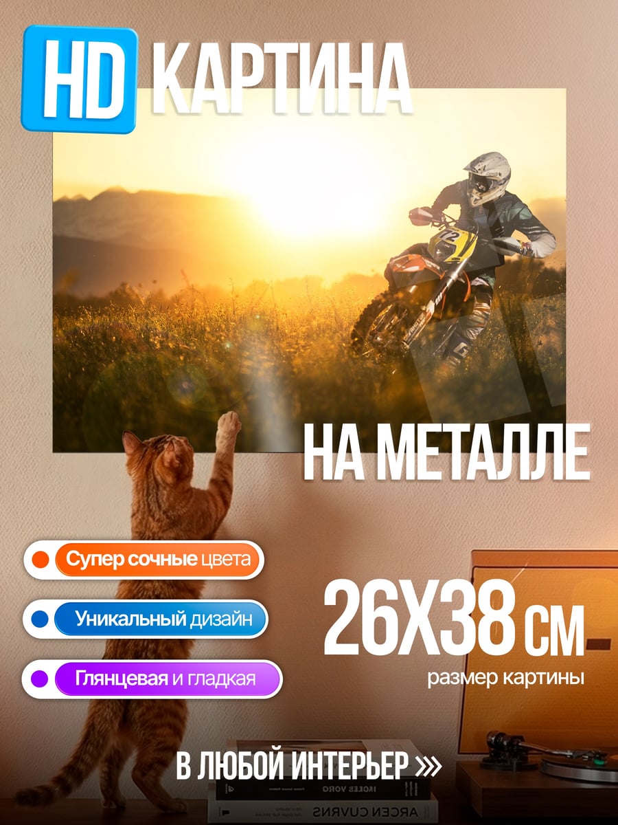 Картина на металле Мотоциклист на закате