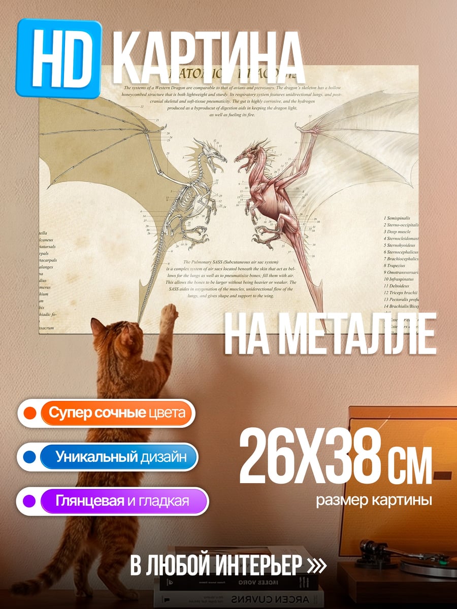 Картина на металле анатомия дракона
