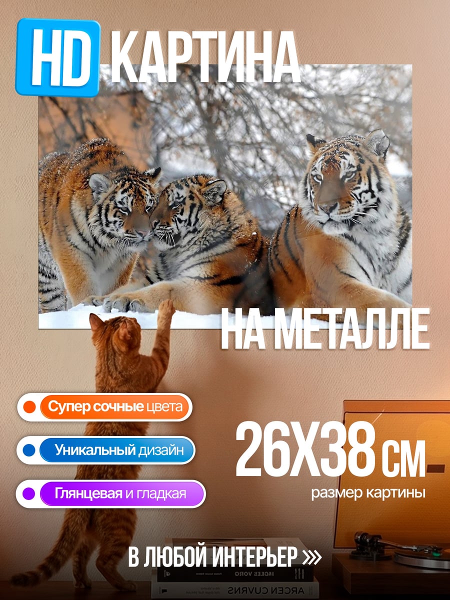 Картина на металле Тигры в снегу