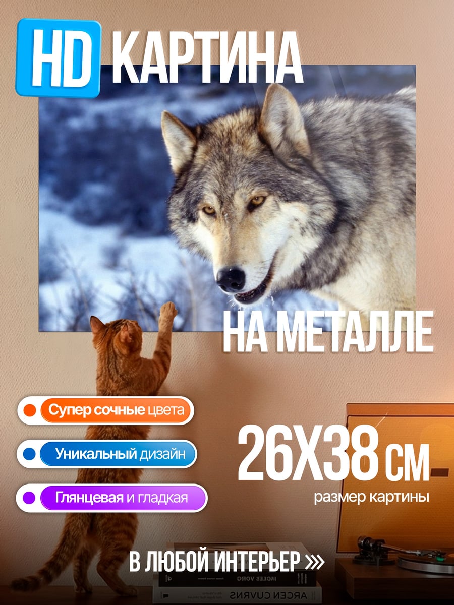 Картина на металле Зимний волк