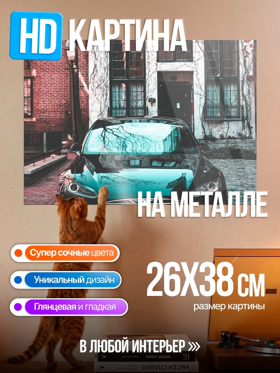 Картина на металле Черный автомобиль у дома
