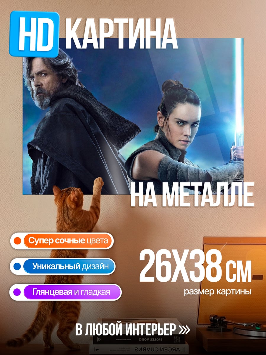Картина на металле Люк и Рей