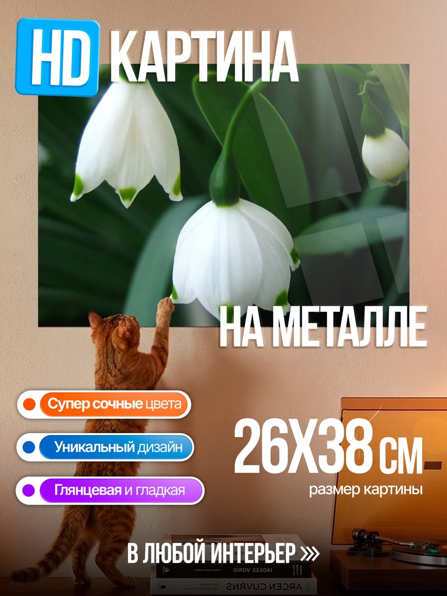 Картина на металле белые подснежники