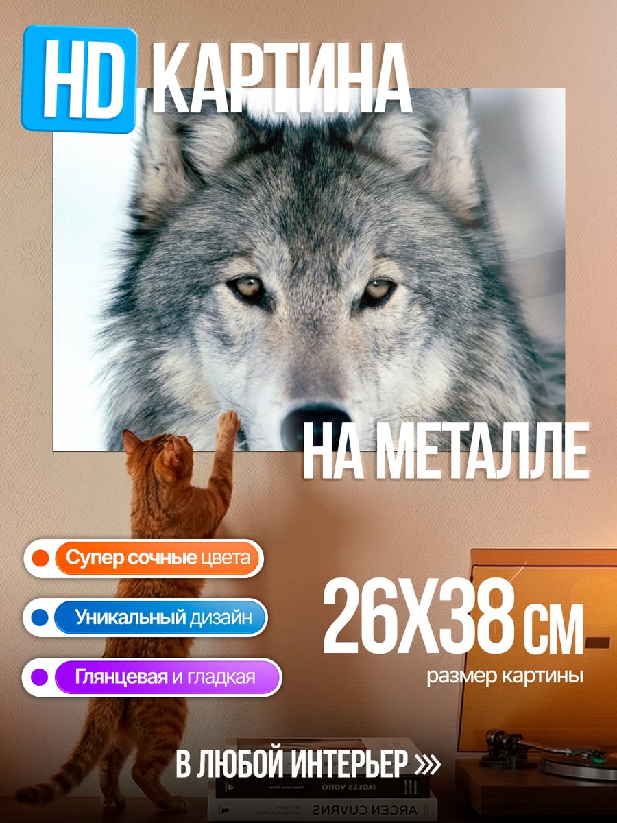 Картина на металле портрет волка