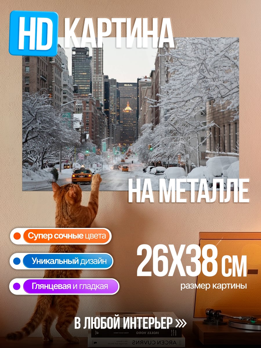 Картина на металле Зимний Нью-Йорк
