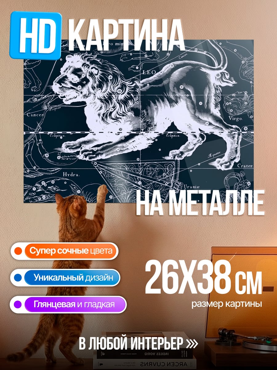 Картина на металле созвездие льва