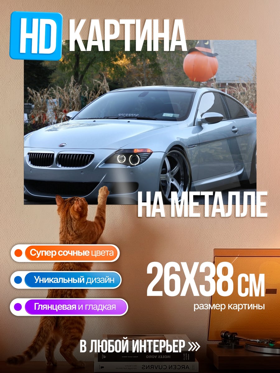 Картина на металле Серебристый BMW M6