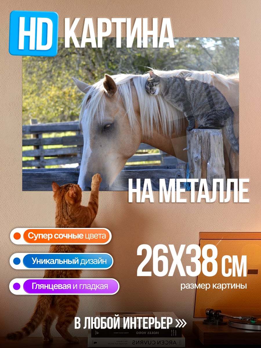 Картина на металле Кот на лошади