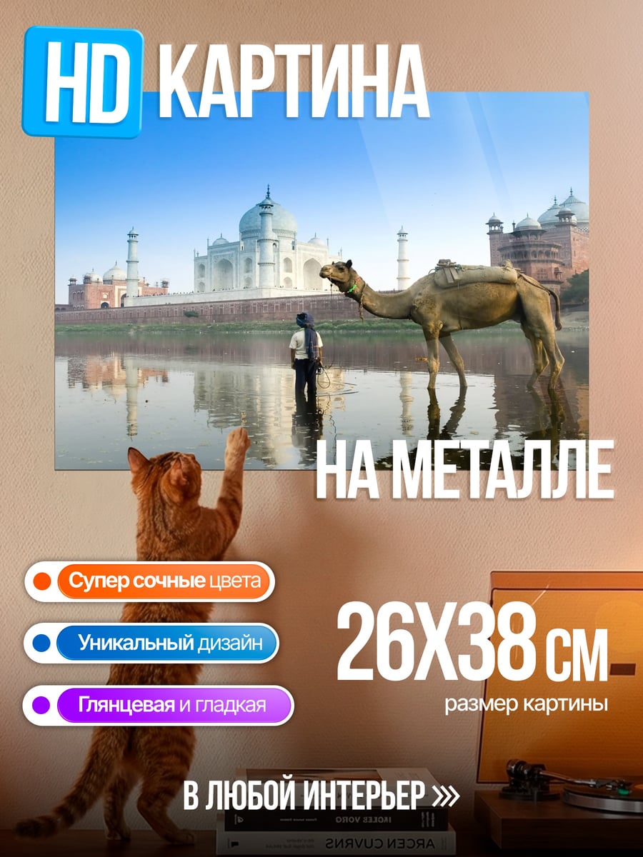 Картина на металле Тадж-Махал и верблюд
