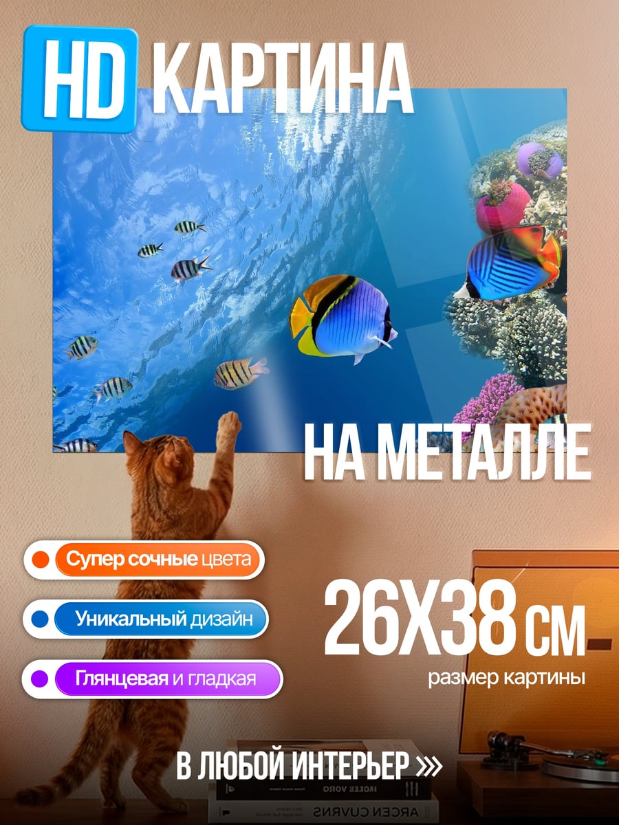 Картина на металле Коралловый риф рыбы