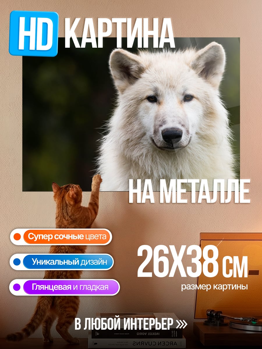 Картина на металле Белый волк