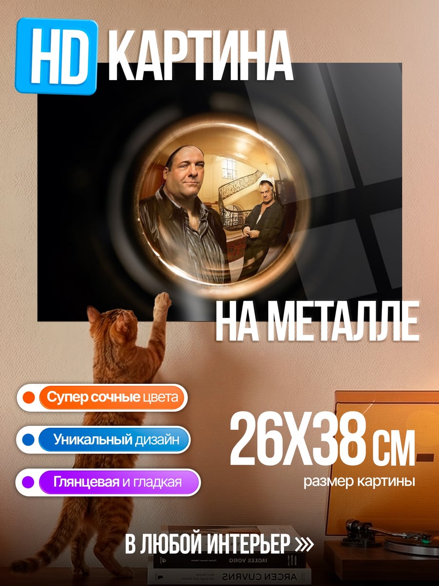 Картина на металле Взгляд сквозь объектив