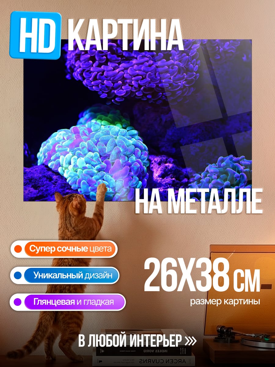 Картина на металле Коралловый риф