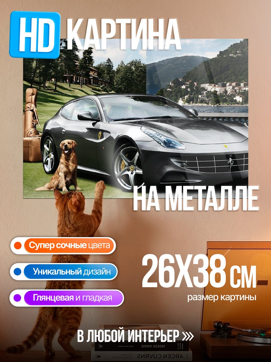 Картина на металле собака и спорткар