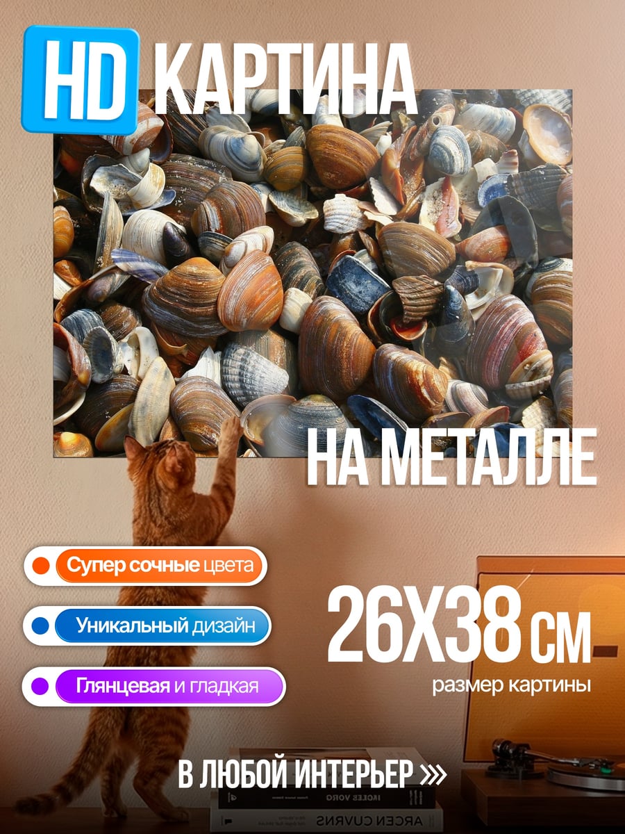 Картина на металле Морские ракушки
