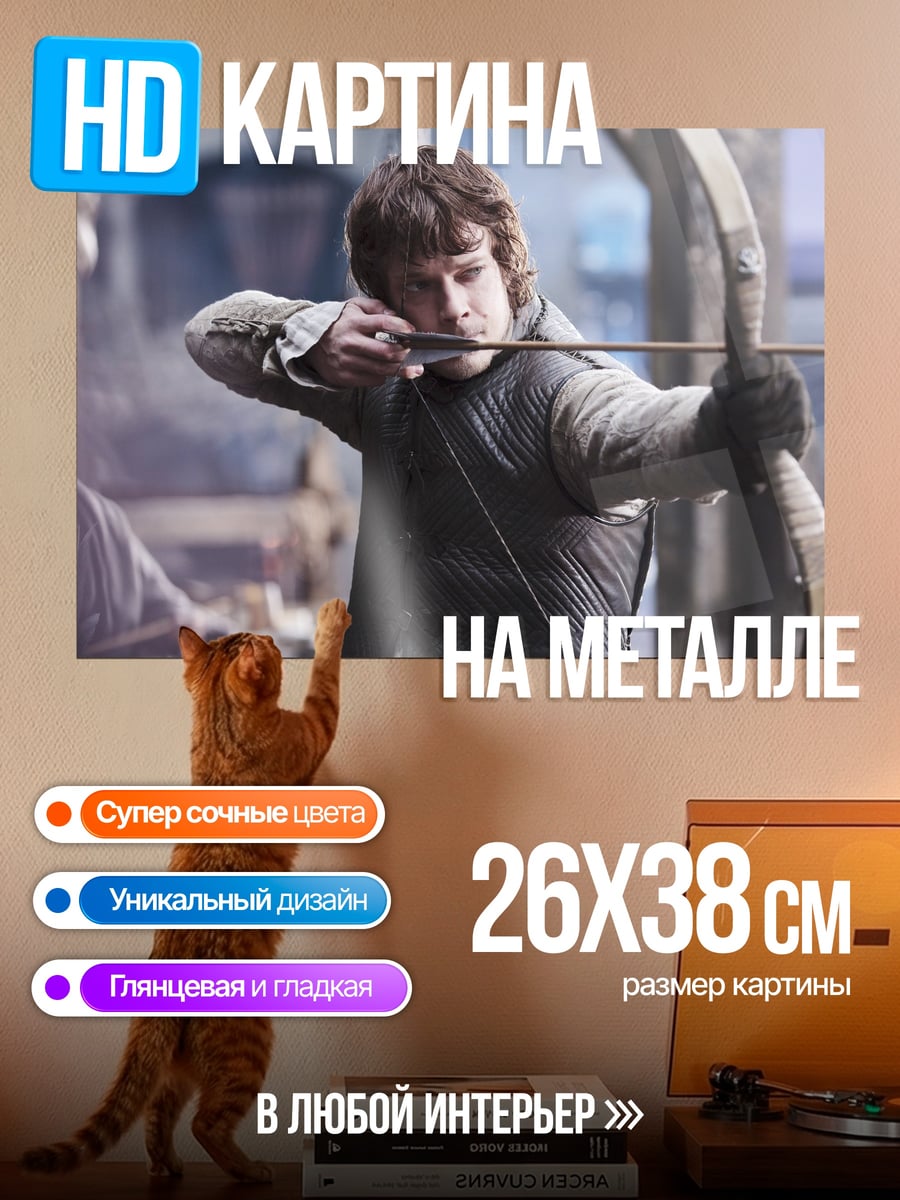 Картина на металле Лучший лучник
