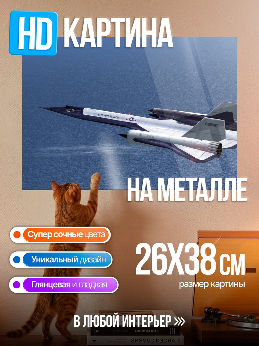Картина на металле Самолет SR-71