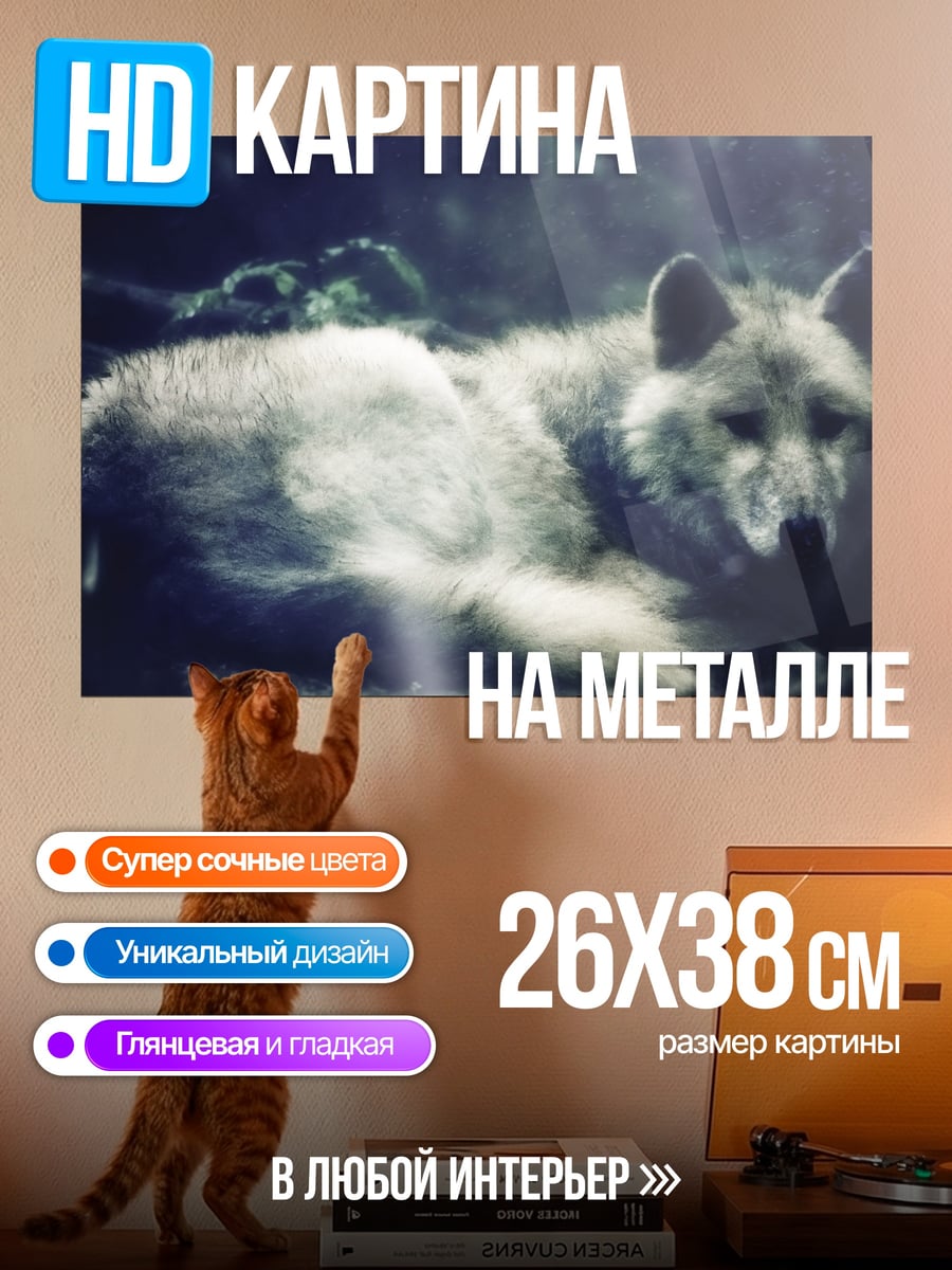 Картина на металле Лесной волк