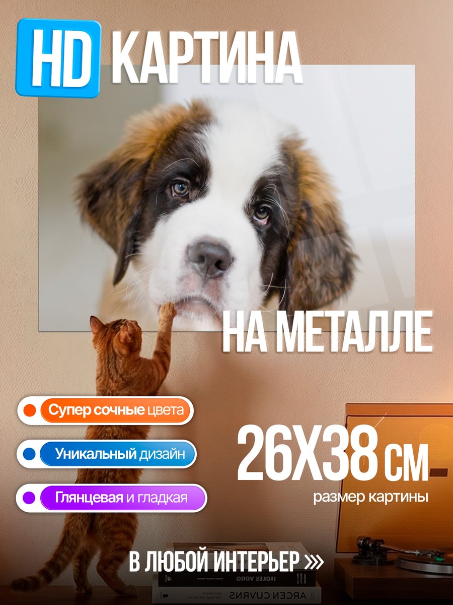 Картина на металле Щенок сенбернара