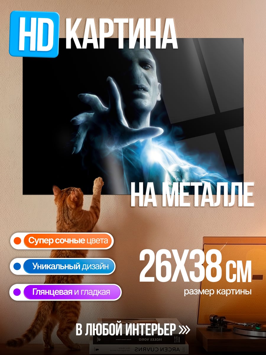 Картина на металле Лорд Воландеморт