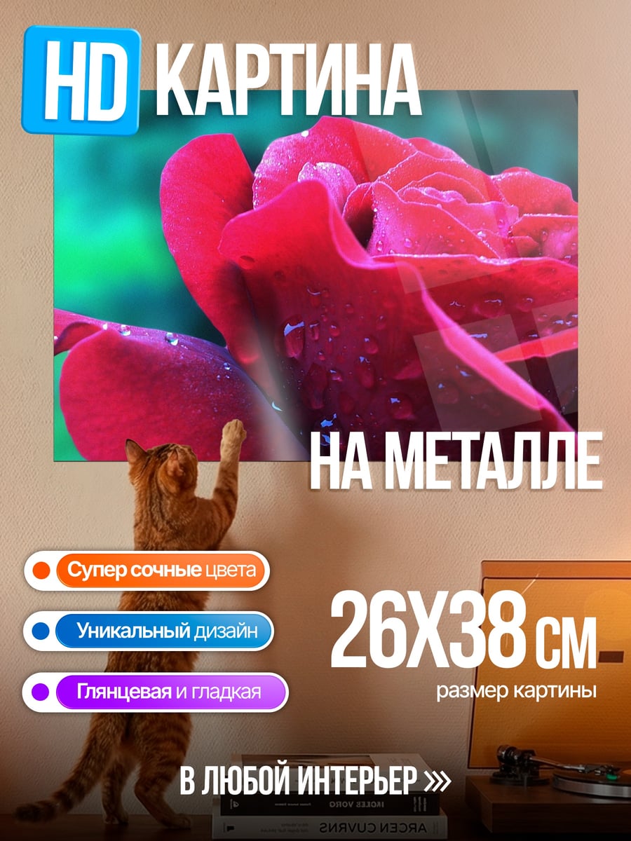 Картина на металле красная роза каплями