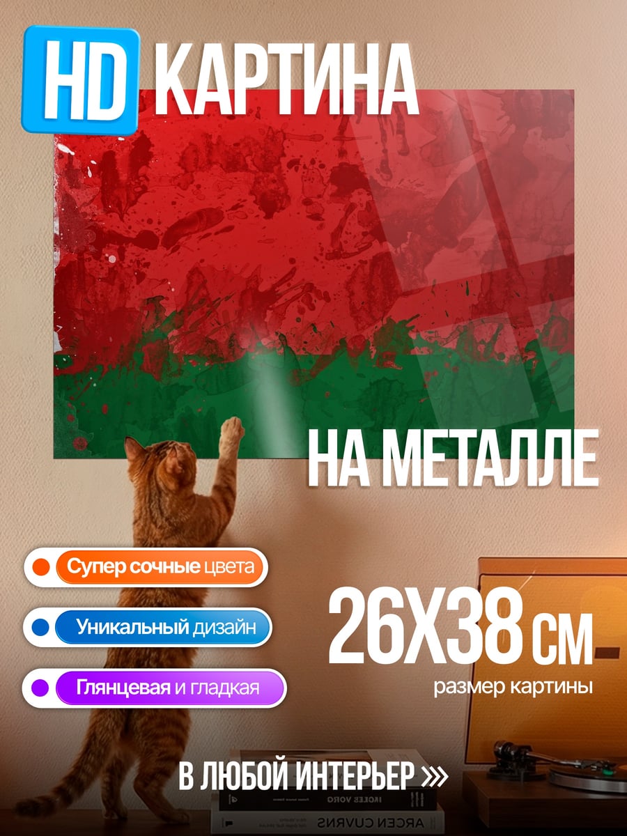Картина на металле Флаг Беларуси