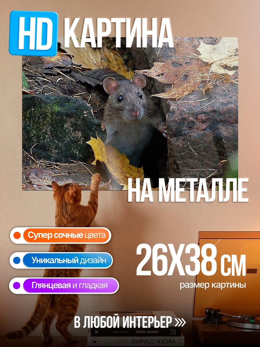Картина на металле мышь в листве