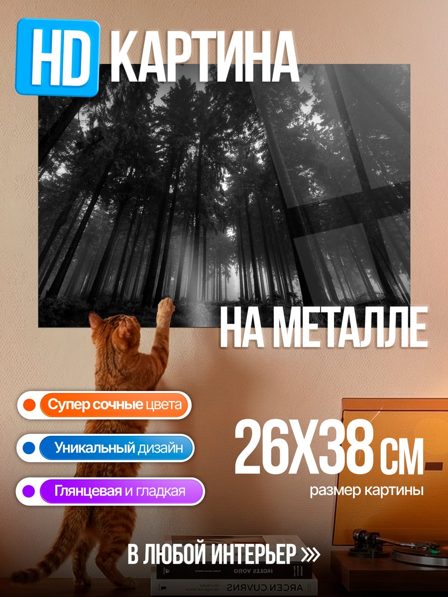 Картина на металле Мрачный лес