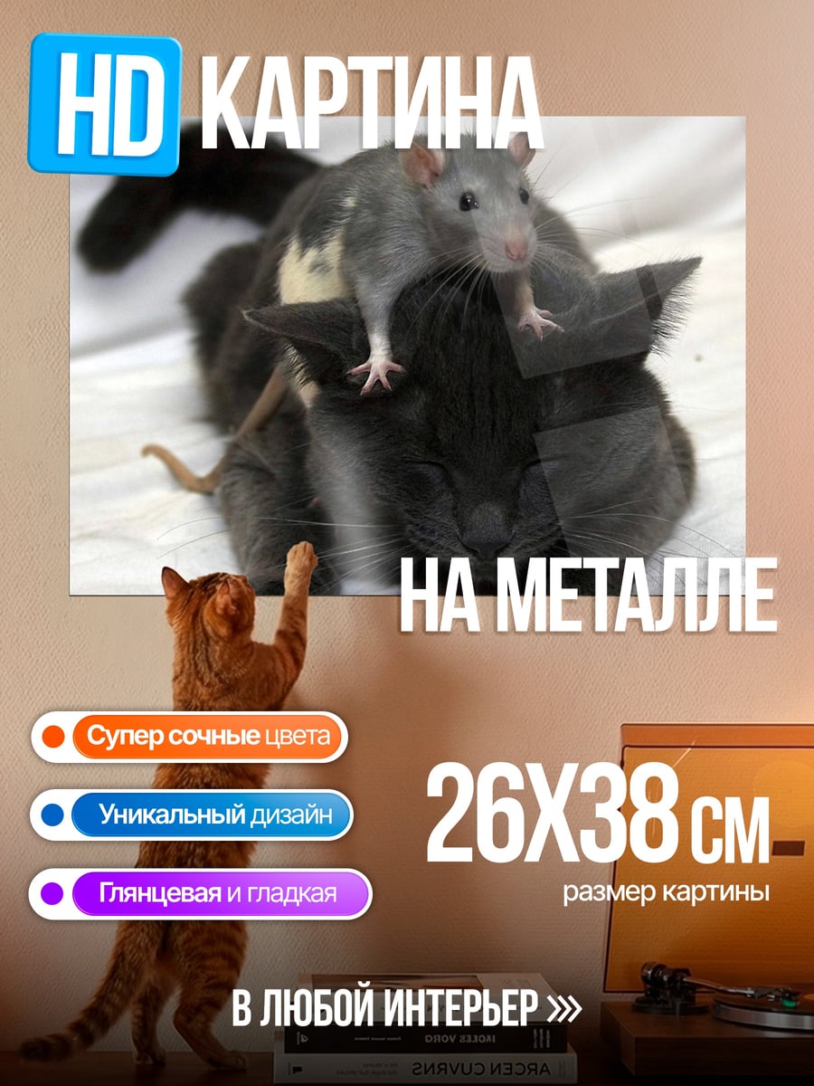 Картина на металле кот и крыса