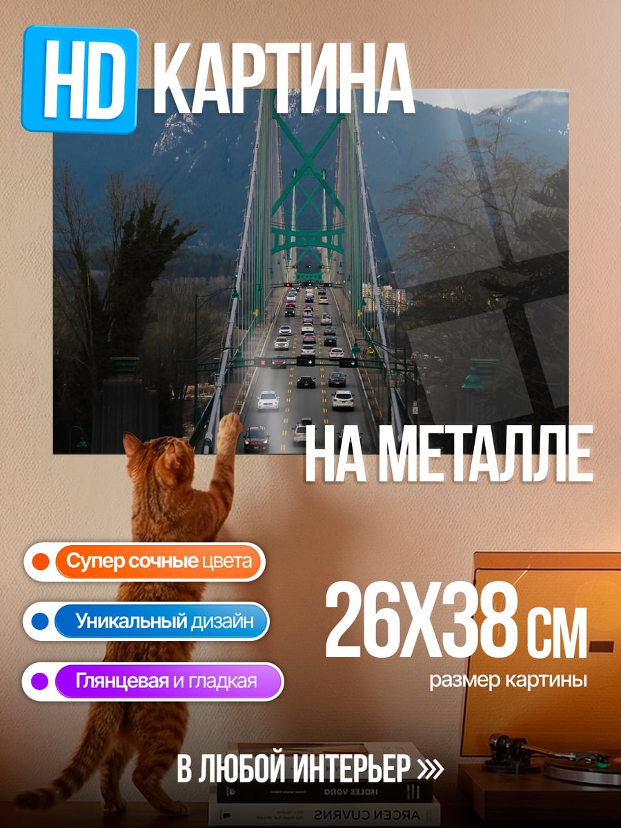Картина на металле Мост с машинами