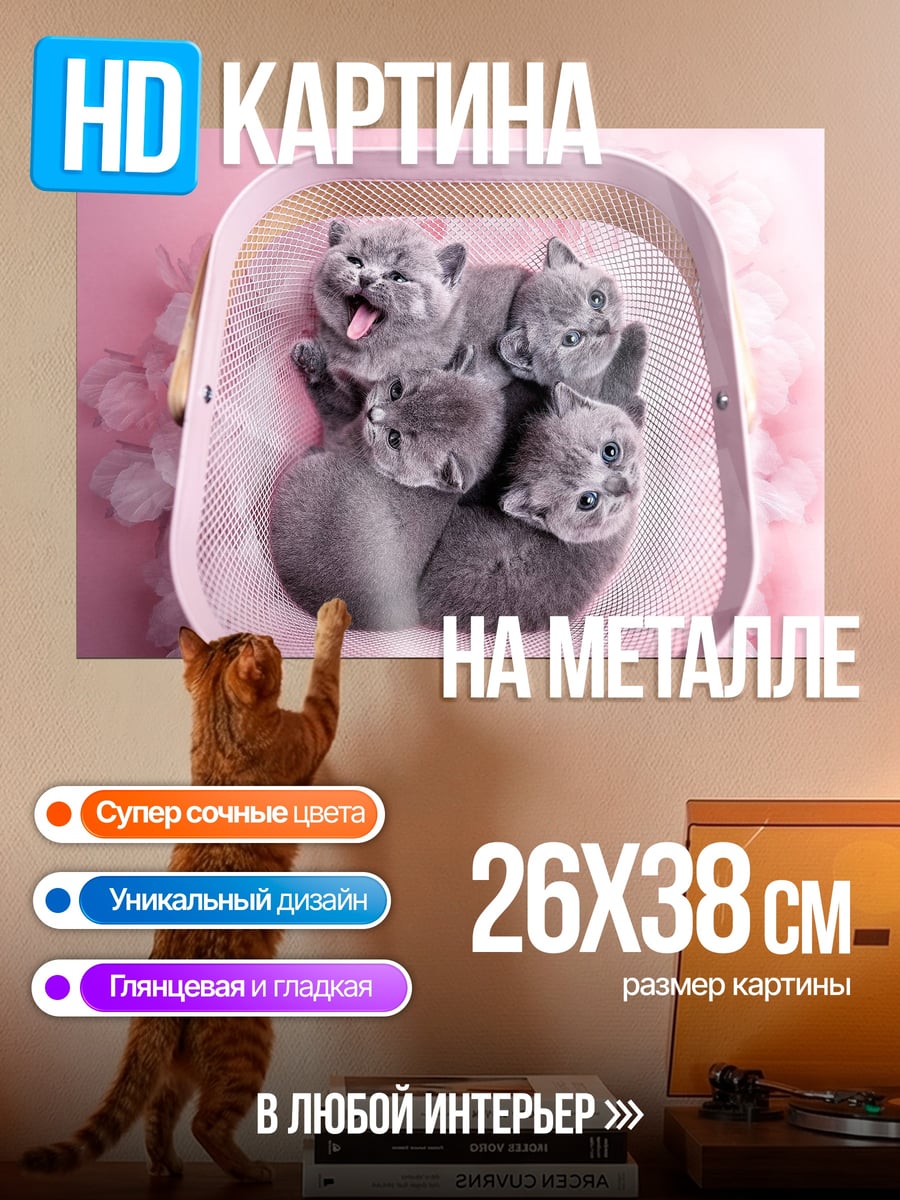 Картина на металле Котята в корзине