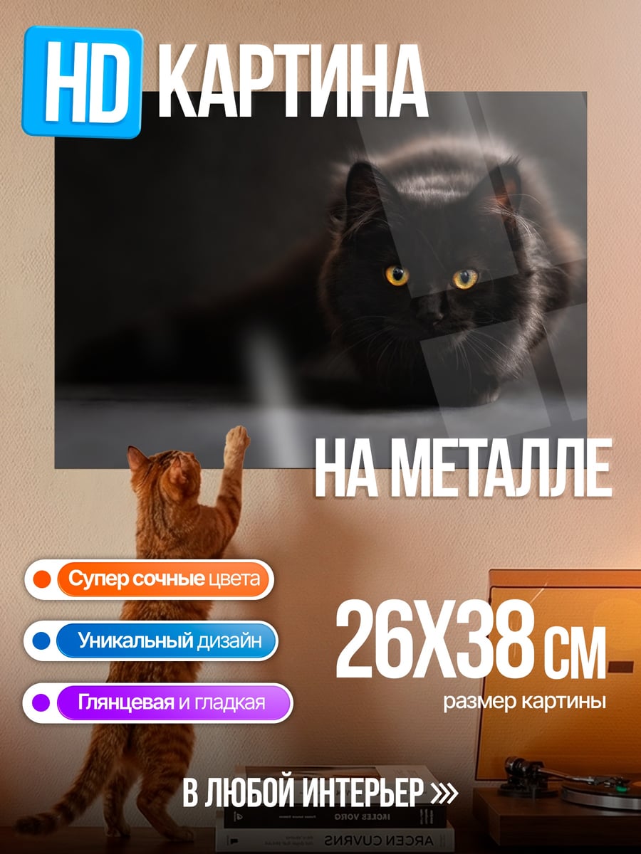 Картина на металле Черный кот