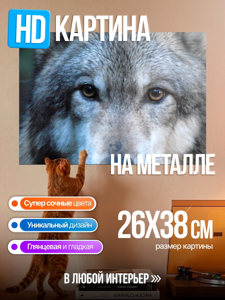 Картина на металле Глаза волка