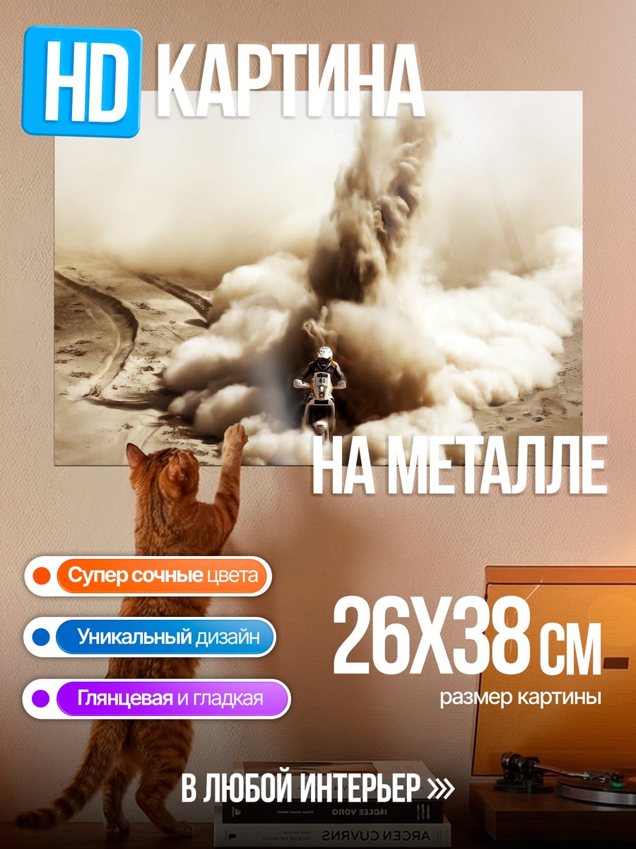Картина на металле Мотоцикл в пустыне