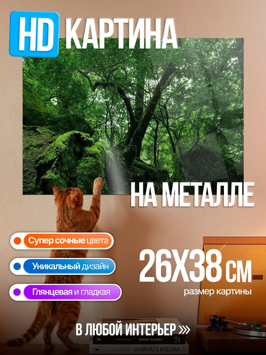 Картина на металле Заросший лес