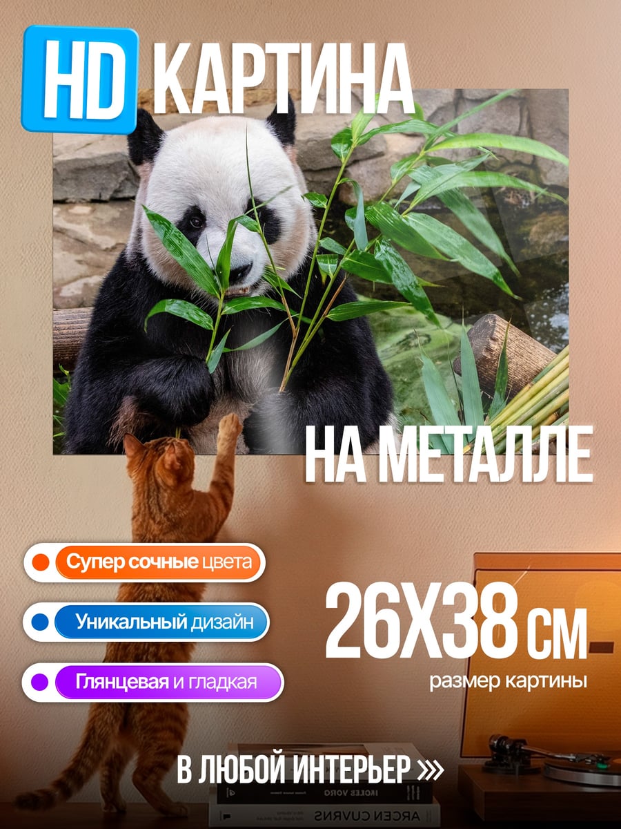 Картина на металле Панда ест бамбук