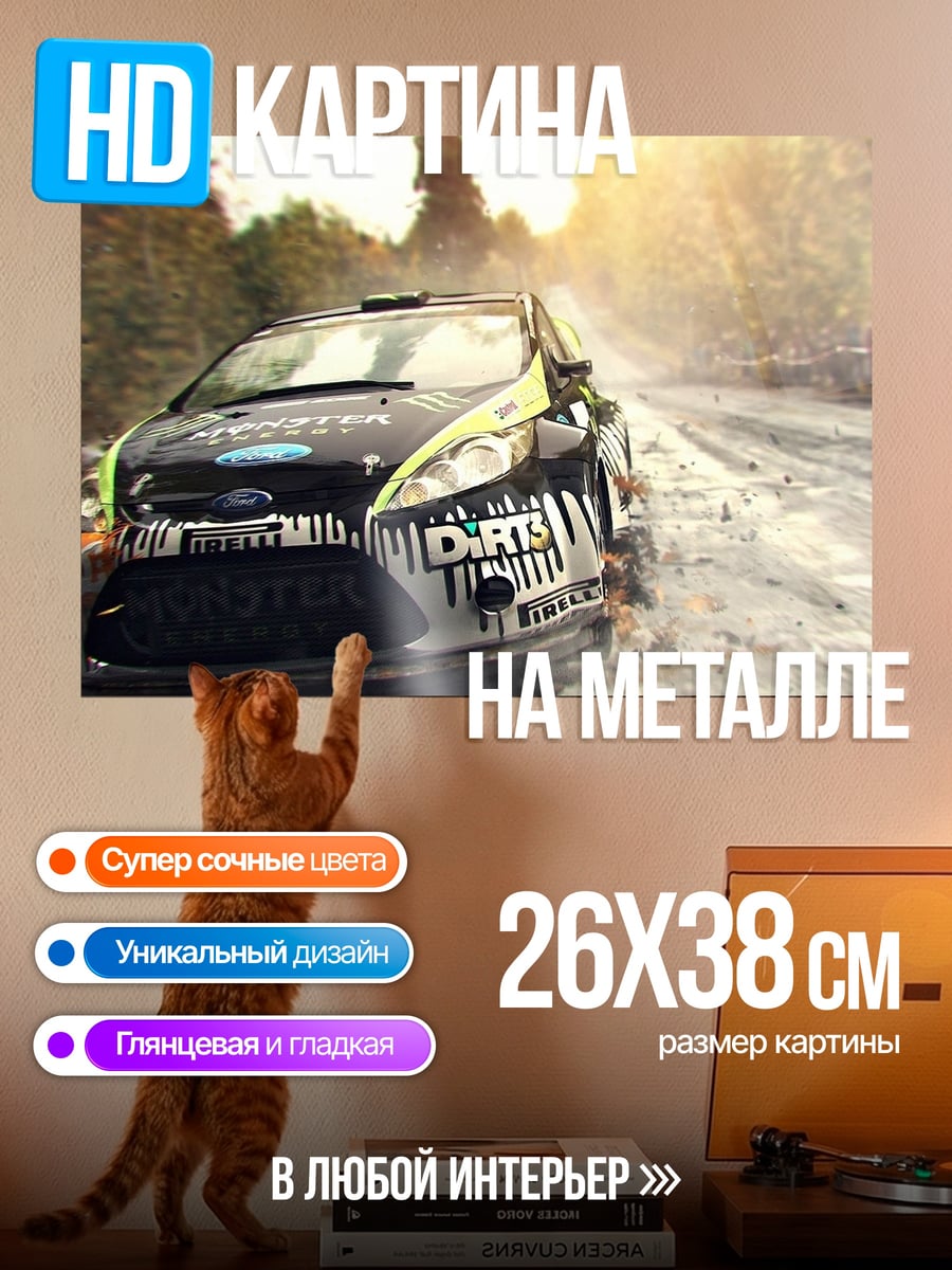 Картина на металле Ралли по грязи