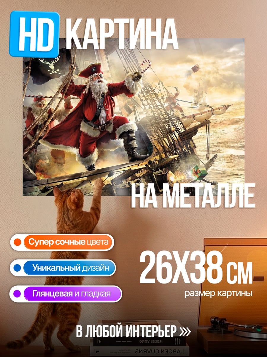 Картина на металле Пират Санта