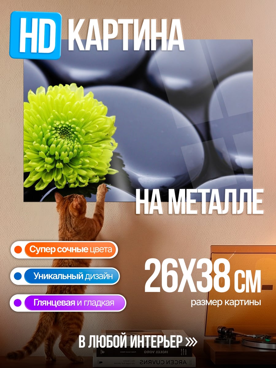 Картина на металле зеленый цветок на камнях