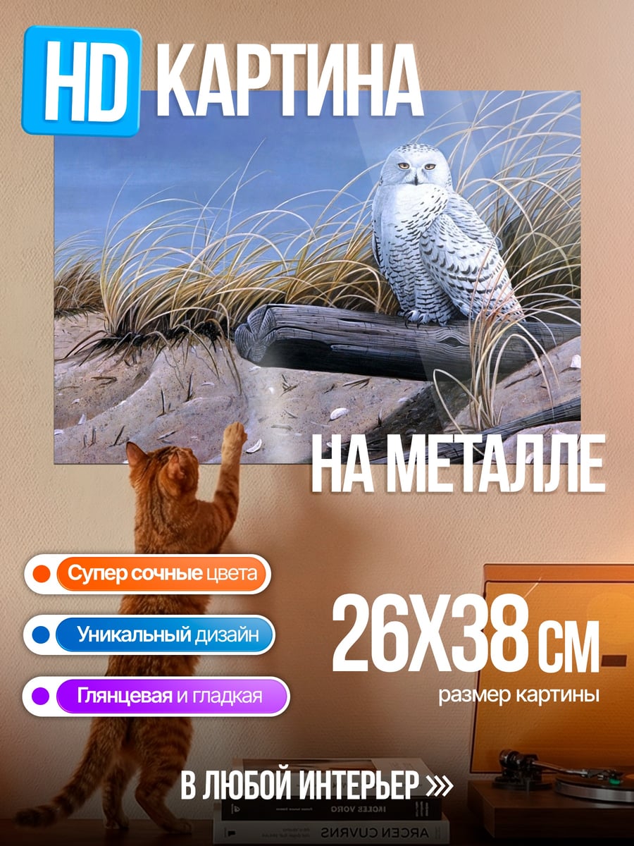 Картина на металле Белая сова на бревне