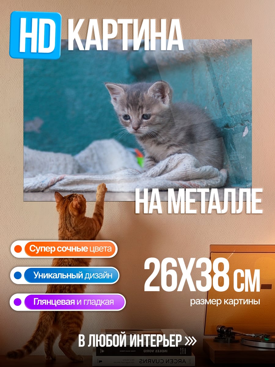 Картина на металле грустный котенок