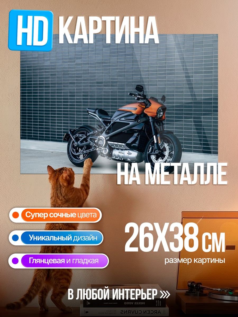 Картина на металле Электробайк